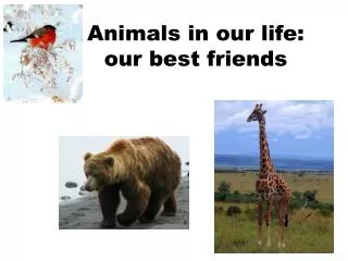 Animals in our life : our best friends