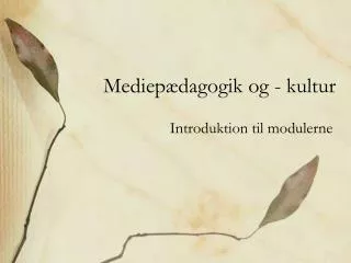 mediep dagogik og kultur