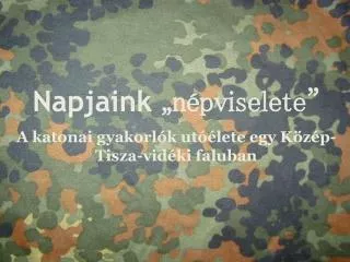 napjaink n pviselete