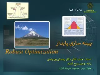 robust optimization