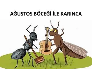 a ustos b ce le karinca