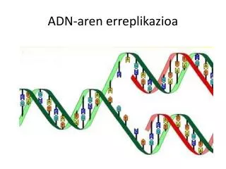 adn aren erreplikazioa