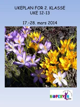 ukeplan for 2 klasse uke 12 13 17 28 mars 2014