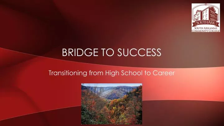 bridge to success
