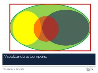 visualizando su campa a