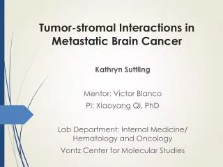 Tumor-stromal Interactions in Metastatic B rain C ancer