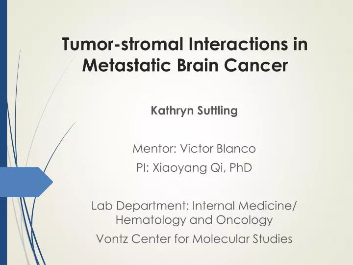 tumor stromal interactions in metastatic b rain c ancer