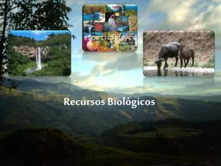 recursos biol gicos
