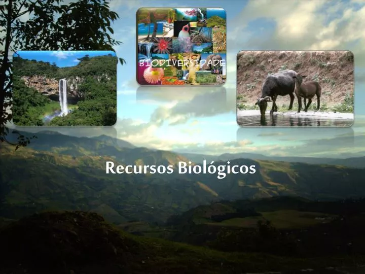 recursos biol gicos