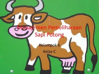 manajemen pemeliharaan sapi potong
