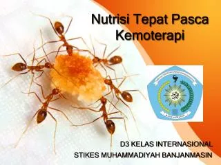 nutrisi tepat pasca kemoterapi
