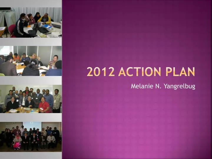 2012 action plan