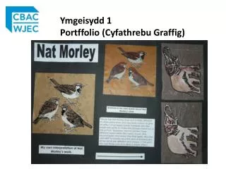 ymgeisydd 1 portffolio cyfathrebu graffig