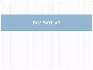 tam sayilar