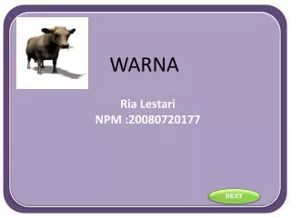 warna