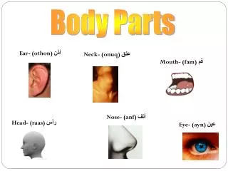 Body Parts