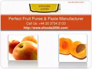 Perfect Fruit Puree & Paste Manufacturer