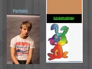 porfolio
