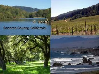 Sonoma County, California