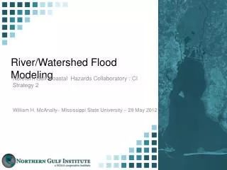 River/Watershed Flood Modeling