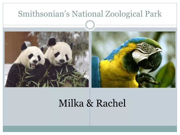 smithsonian s national zoological park