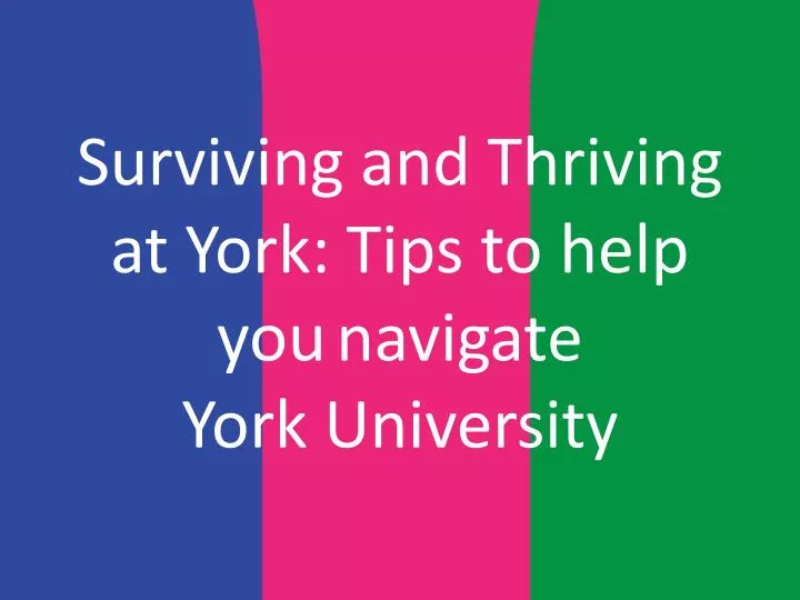 surviving and thriving at york tips to help you navigate york university