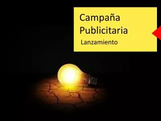 campa a publicitaria