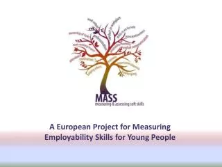 A European Project for Measuring Employability Skills for Young People