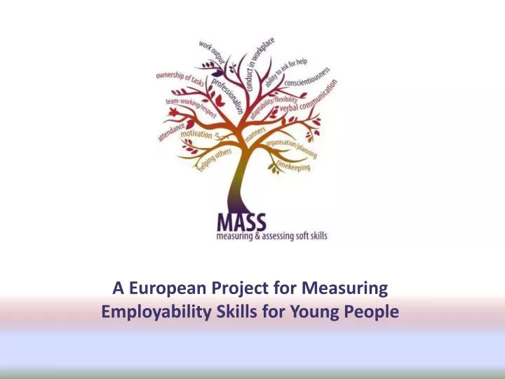 a european project for measuring employability skills for young people