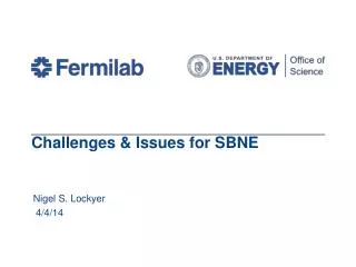 Challenges &amp; Issues for SBNE