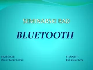 seminarski rad