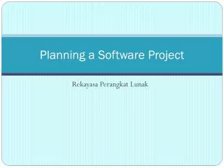 planning a software project