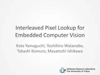 Interleaved Pixel Lookup for Embedded Computer Vision