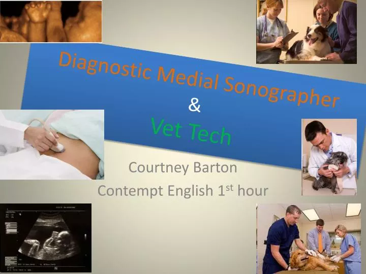 diagnostic medial sonographer vet tech