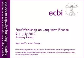 First Workshop on Long-term Finance 9-11 July 2012 Summary Report Seyni NAFO, Africa Group ..
