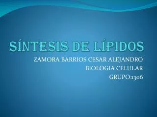 s ntesis de l pidos