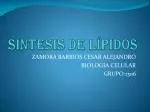 SÍNTESIS DE LÍPIDOS - slide 1