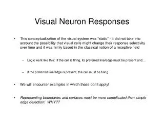 Visual Neuron Responses