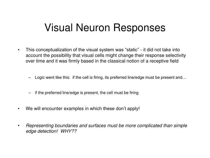 visual neuron responses