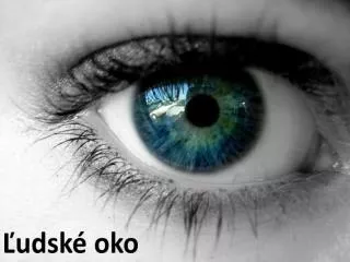 udsk oko