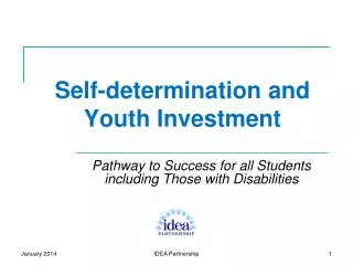 Self-determination and Youth Investment