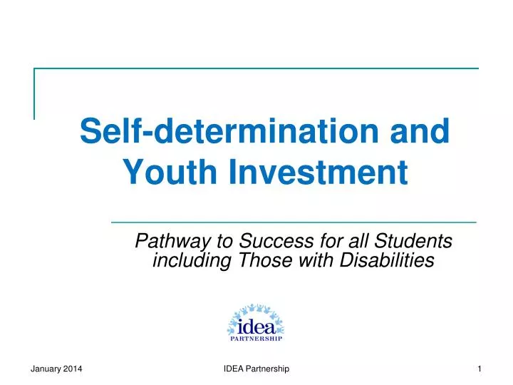 self determination and youth investment
