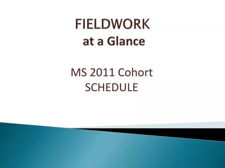 fieldwork at a glance