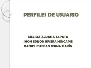 perfiles de usuario