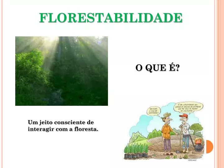 florestabilidade