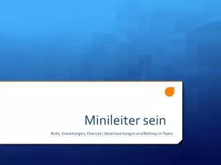 minileiter sein