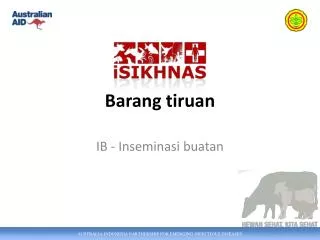 b arang tiruan