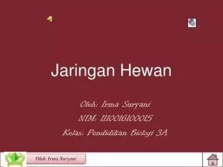 jaringan hewan
