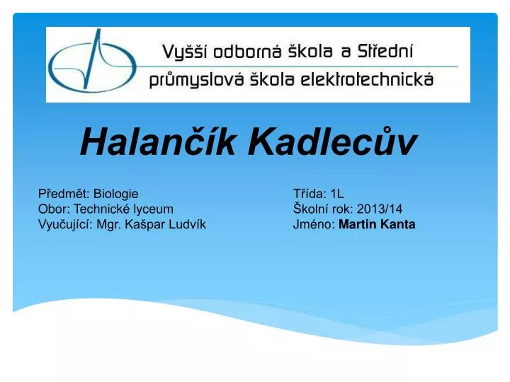 halan k kadlec v