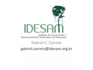 Gabriel C. Carrero g abrielrrero@idesam.br